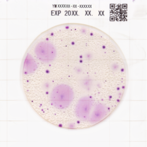Easy Plate YM-R: Levures et moisissures