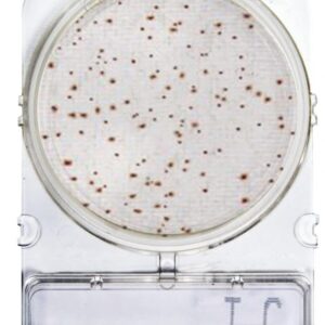 CompactDry™ TC: dénombrement total