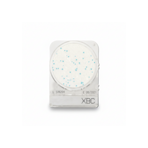 CompactDry™: Bacillus cereus