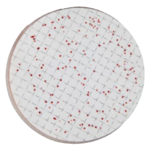 Ensemble de tampon nutritif Azide-NPS : détection des entérocoques