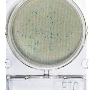 CompactDry™ ETC: Entérocoques