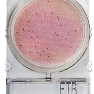 CompactDry™ ETB: Entérobactéries